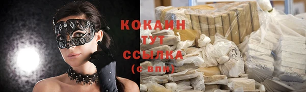 мдпв Осинники