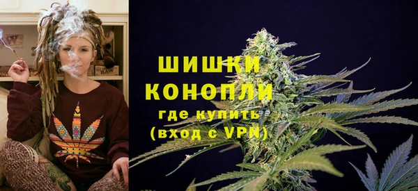 мдпв Осинники